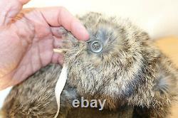 GERMAN ARMY WW2 REPRO EAST FRONT REAL RABBIT FUR USHANKA HAT Sz59 7 3/8