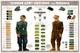 German Army Uniforms & Insignia Wwii 1943 Recognition Poster Military Art