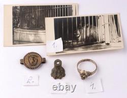 Lion WW2 German ring WWII Germany Army Zoo Photo Fragment Set Wehrmacht force