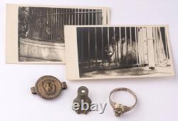 Lion WW2 German ring WWII Germany Army Zoo Photo Fragment Set Wehrmacht force