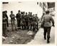 Original Wwii Photos 6th & 7th Army, German Surrender Stunning 8x10, 1945