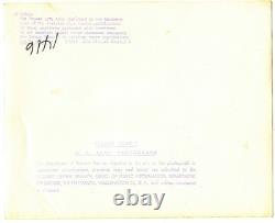 Original WWII Photos 6th & 7th Army, German Surrender Stunning 8x10, 1945