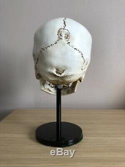 Skull Helmet Display Stand U. S German Ww2 Hats Vietnam Usmc Para Sas Raf Army