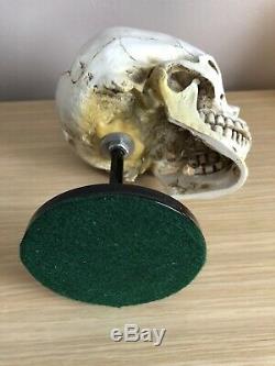 Skull Helmet Display Stand U. S German Ww2 Hats Vietnam Usmc Para Sas Raf Army