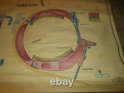 WW II German Army TANK WALL CHART / SCHEMATIC #3 Panzer Sd. Kfz. RARE