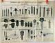 Wwii Rare 1944 First Army Engineer German Igniter Identification Chart 21 X 17