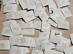 50 Photos Originales de l'Armée Allemande de la WWII Parade de Panzer à Meiningen Sächsischer Hof WOW