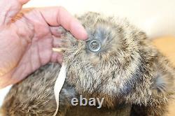 Allemand Army Ww2 Repro East Front Real Rabit Fur Ushanka Hat Dnk 1943 Sz62 7 3/4