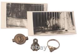 Anneau allemand de lion de la Seconde Guerre mondiale, ensemble de fragments photo de l'armée allemande, zoo Wehrmacht.