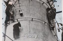 Bague allemande de la Seconde Guerre mondiale Kriegsmarine de la marine, loup ou ours, armée allemande Wehrmacht