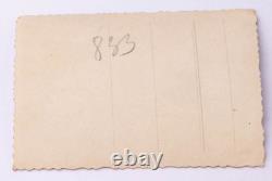 Bague allemande de la Seconde Guerre mondiale en argent 830, insigne photo ours de la Wehrmacht de l'armée allemande