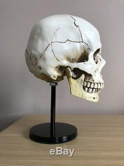 Crâne D'affichage Casque Stand U. S Allemand Ww2 Chapeaux Vietnam Usmc Para Sas Raf Armée