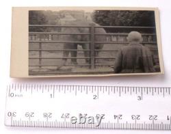 Éléphant WW2 allemand 1943 anneau photo WWII pendentif pistolet bouton DAK armée allemande