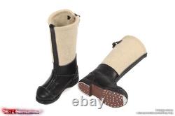 Figurine d'action 1/6 3R Armée allemande de la WWII Général de la 6e Armée GM655