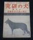Journal D'entraînement Des Chiens De Guerre De L'armée Impériale Japonaise De La Seconde Guerre Mondiale Oct 1941 / Akita, Allemand