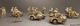 Mod&egrave;le Peint De L'arm&eacute;e Allemande De La Seconde Guerre Mondiale Sur Les Champs De Bataille D'afrique &agrave; L'&eacute;chelle 1/72 (4 Motos, 14 Hommes)
