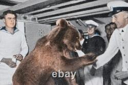 Ours dans le service naval de la Seconde Guerre mondiale, anneau allemand de la Kriegsmarine 1942, armée allemande Wehrmacht