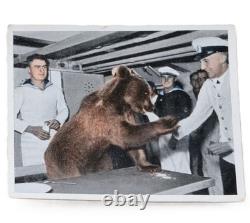 Ours dans le service naval de la Seconde Guerre mondiale, anneau allemand de la Kriegsmarine 1942, armée allemande Wehrmacht