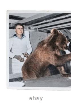 Ours dans le service naval de la Seconde Guerre mondiale, anneau allemand de la Kriegsmarine 1942, armée allemande Wehrmacht