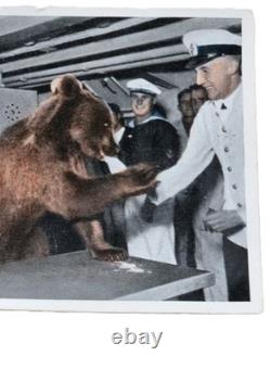 Ours dans le service naval de la Seconde Guerre mondiale, anneau allemand de la Kriegsmarine 1942, armée allemande Wehrmacht