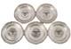 Plates PatentÉes En Argent Original Rares Ww2 Wwii X5. Armée Allemande Ss Toutes Divisions